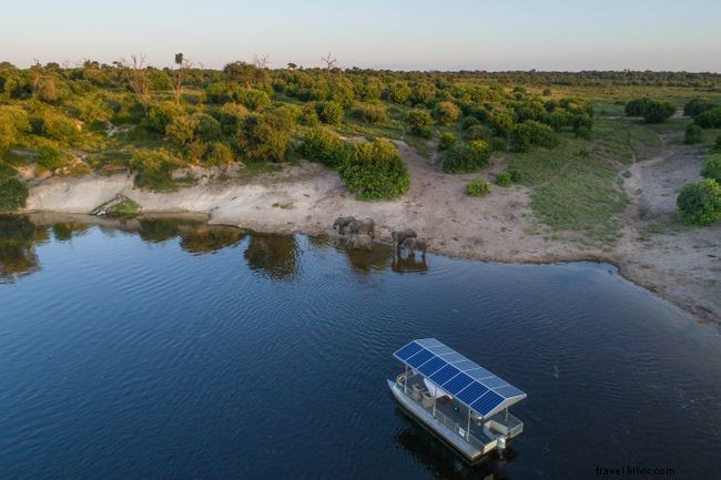 Chobe Game Lodge Celebrates Female Guides on International Women’s Day