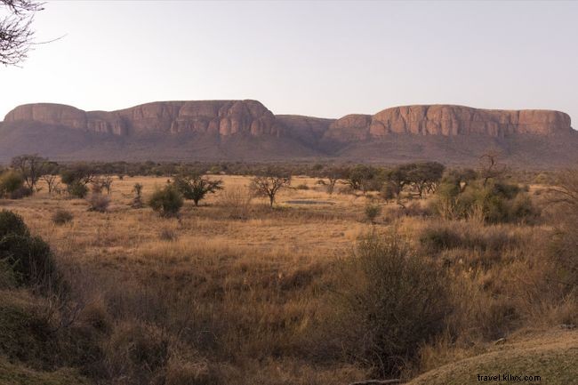Explore 7 Prime Locations to Spot Pangolins Across Africa