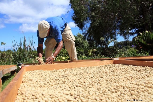 Explore St. Helena Island: The Ultimate Travel Guide