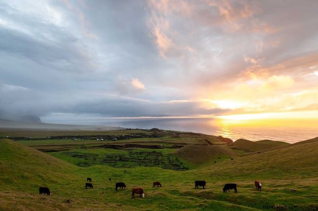 Top 10 St. Helena Walks: Explore the Island’s Scenic Trails