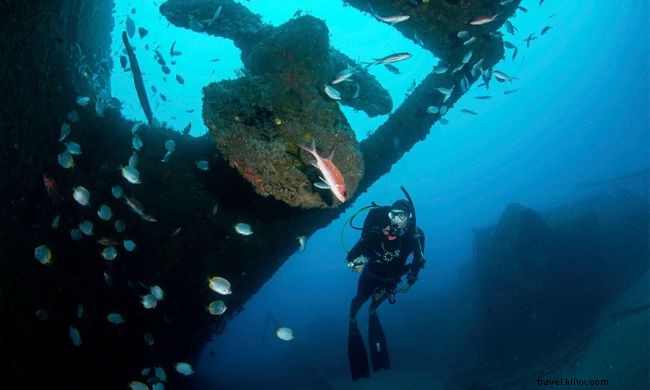 Explore 7 Stunning Underwater Highlights Around St. Helena