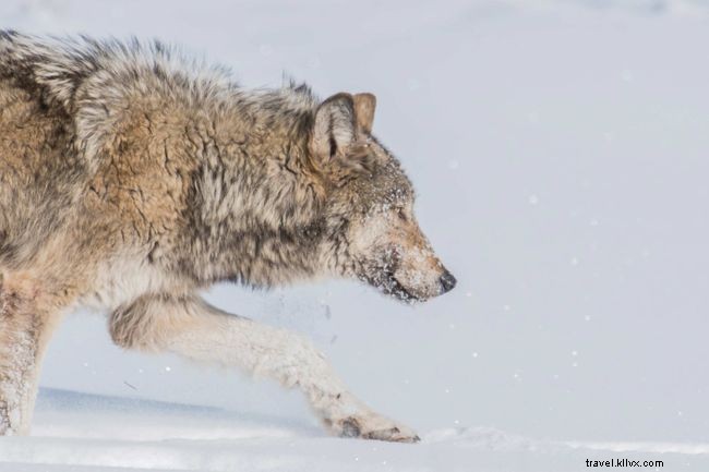 Explore 2022: The Top Travel Destinations for Each Month