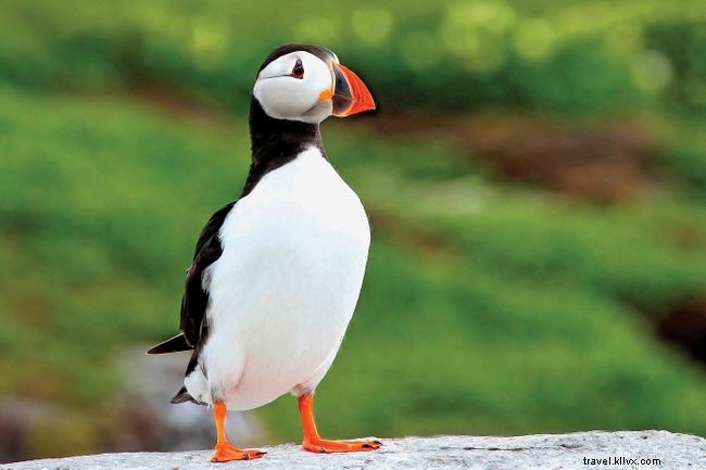 Explore 2022: The Top Travel Destinations for Each Month