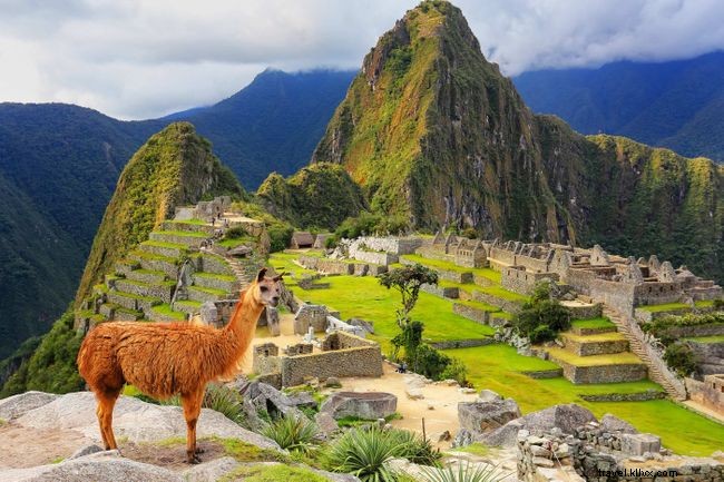 Travelers Wanted: Destinations Where You Can Make a Positive Impact