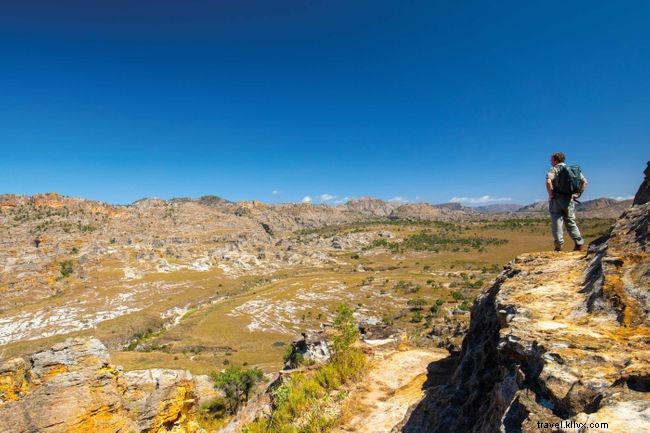 Explore Madagascar s Extraordinary Lemurs