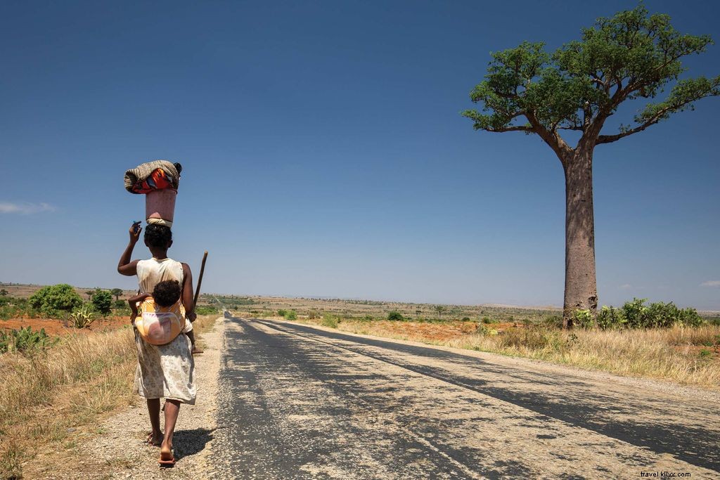 Explore Madagascar s Extraordinary Lemurs