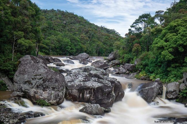Explore Madagascar s Extraordinary Lemurs