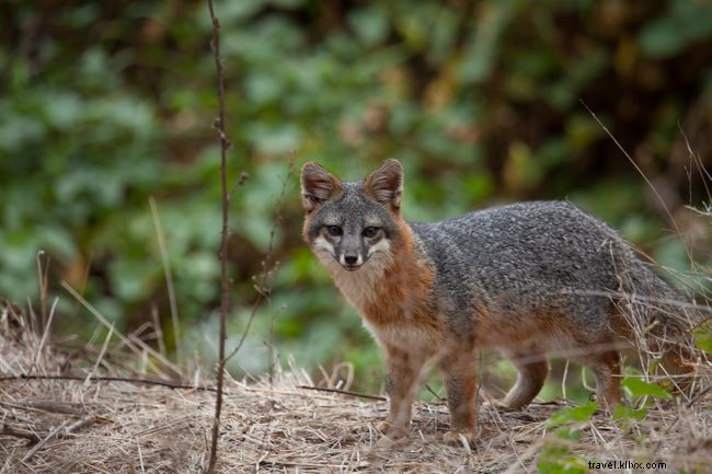 17 Hidden Island Getaways Loved by Wanderlust Readers