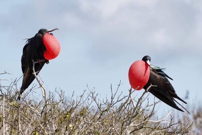 17 Hidden Island Getaways Loved by Wanderlust Readers