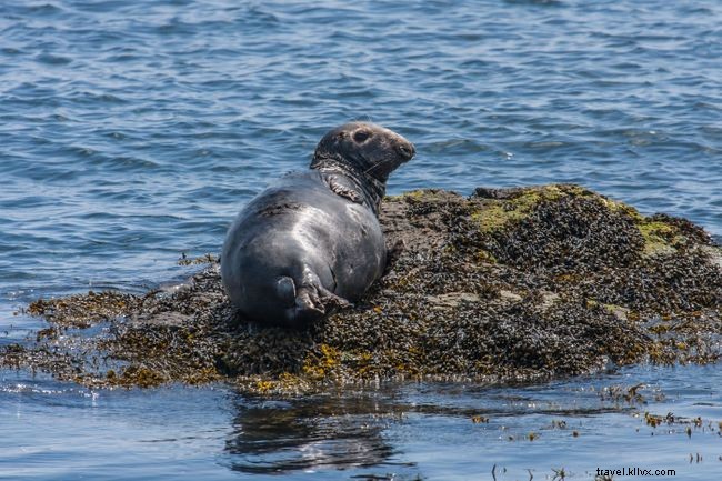 17 Hidden Island Getaways Loved by Wanderlust Readers