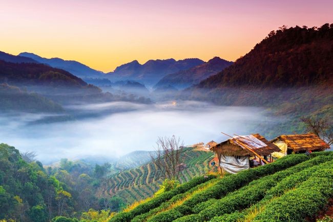 Explore 38 Expert-Recommended Destinations Around the World