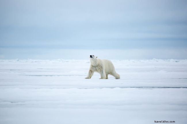 Explore 38 Expert-Recommended Destinations Around the World