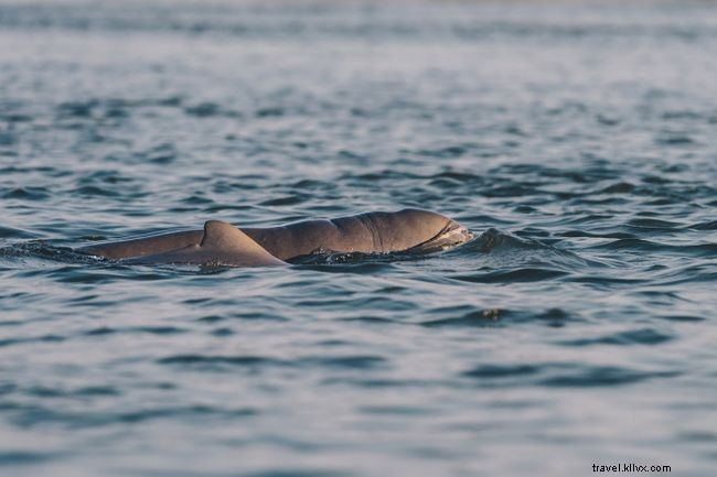 Explore 38 Expert-Recommended Destinations Around the World