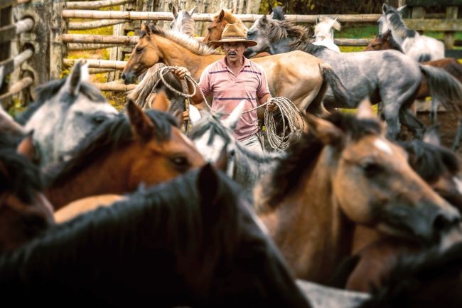 Explore 38 Expert-Recommended Destinations Around the World