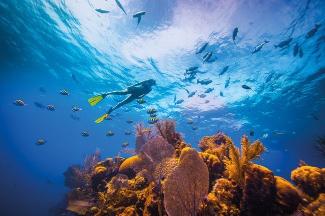 Explore 38 Expert-Recommended Destinations Around the World