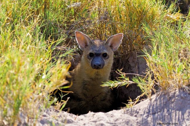 Explore 38 Expert-Recommended Destinations Around the World