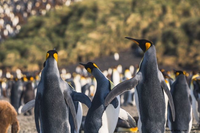 Explore 38 Expert-Recommended Destinations Around the World