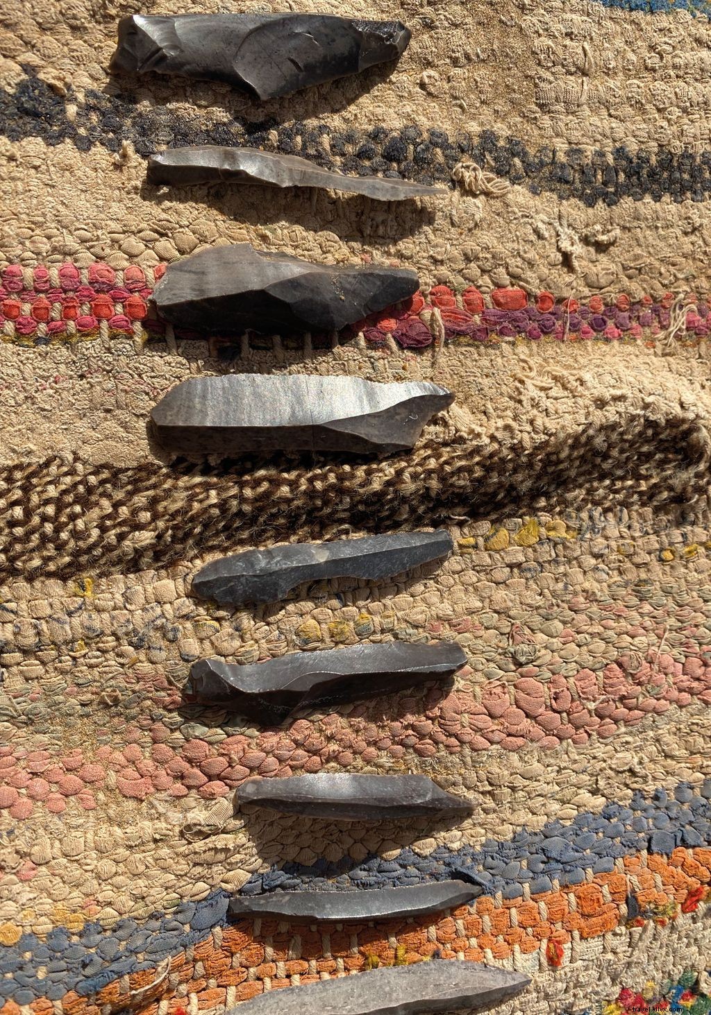 Discover Life in the Sahara Desert – Alice Morrison’s Expedition