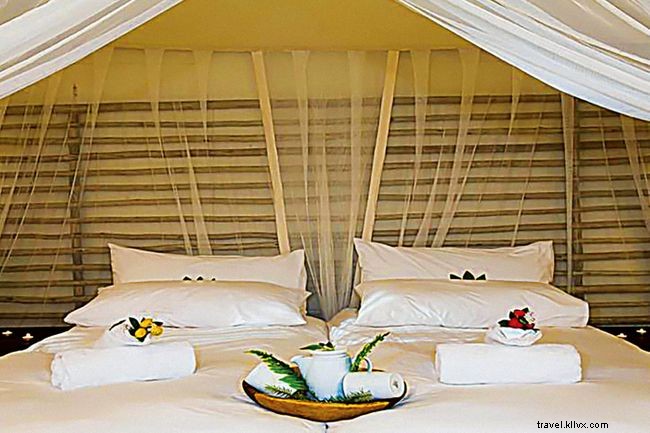 Top Namibian Camps and Lodges for Unforgettable Experiences