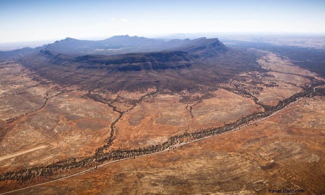 Top 7 Walking Safaris Worldwide: Experience Wildlife Up Close