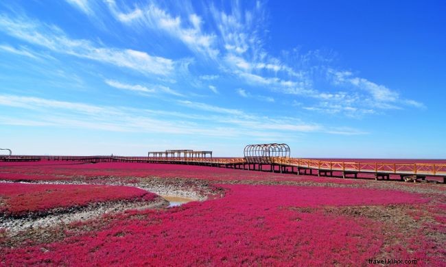 12 Stunning Spring Landscapes from Around the World