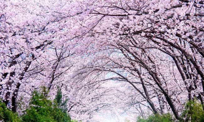 12 Stunning Spring Landscapes from Around the World