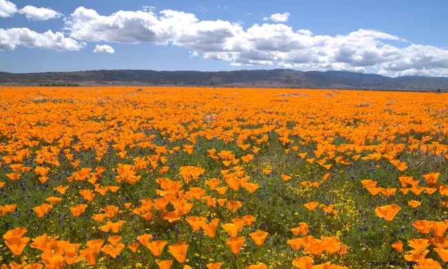 12 Stunning Spring Landscapes from Around the World