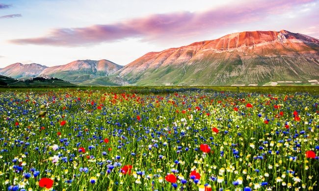 12 Stunning Spring Landscapes from Around the World