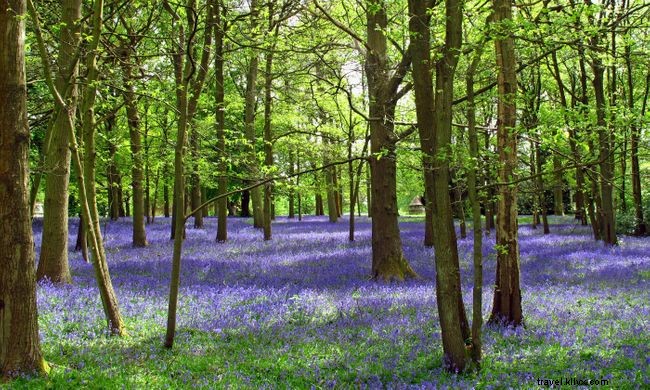 12 Stunning Spring Landscapes from Around the World