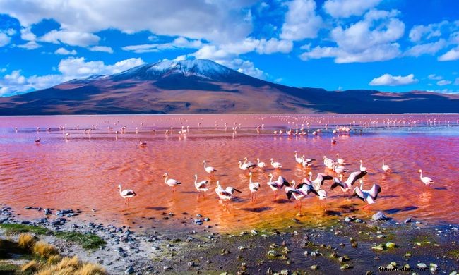 12 Stunning Spring Landscapes from Around the World