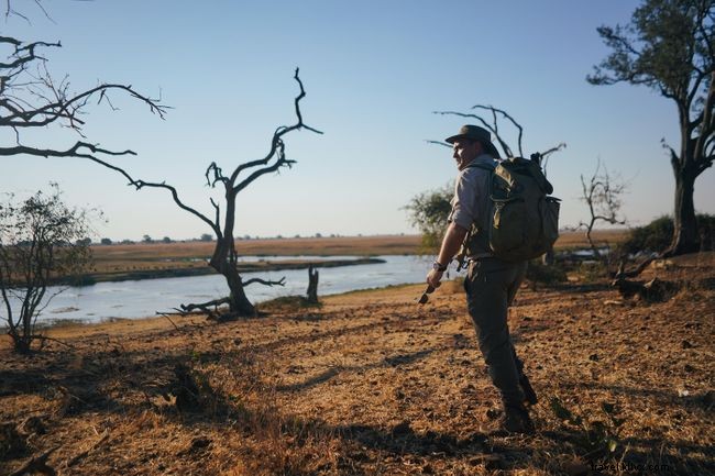 Levison Wood Discusses Elephant Trekking in Botswana