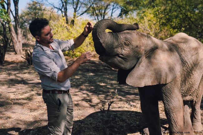 Levison Wood Discusses Elephant Trekking in Botswana