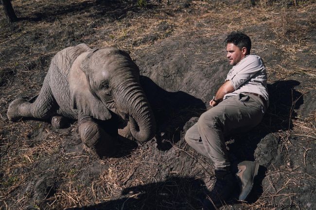 Levison Wood Discusses Elephant Trekking in Botswana