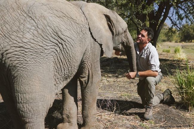 Levison Wood Discusses Elephant Trekking in Botswana