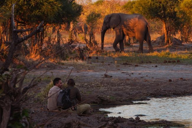 Levison Wood Discusses Elephant Trekking in Botswana