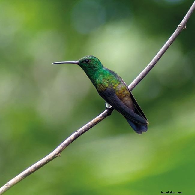 12 Must-Visit Destinations Wanderlust Readers Dream of Returning To