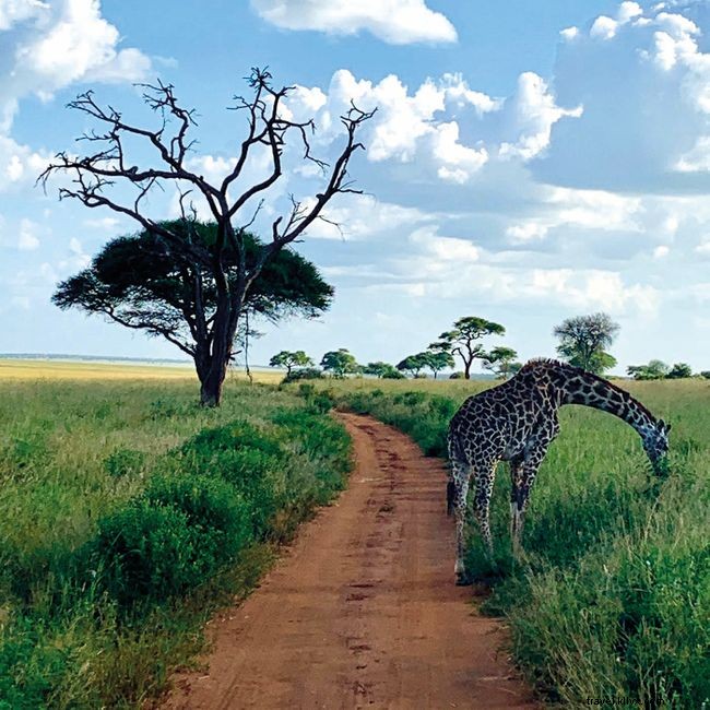 12 Must-Visit Destinations Wanderlust Readers Dream of Returning To