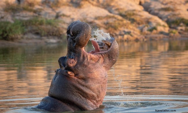 Explore Africa from Home: 12 Immersive Virtual Tours & Experiences