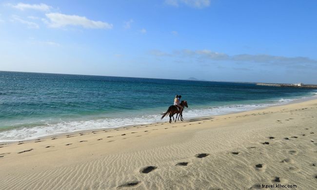 Explore Africa from Home: 12 Immersive Virtual Tours & Experiences