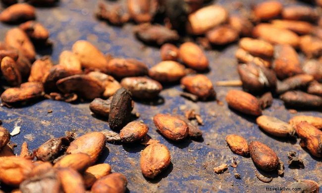 Experience São Tomé and Príncipe in August: A Cultural Celebration