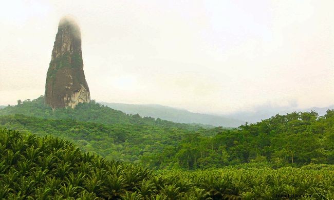 Experience São Tomé and Príncipe in August: A Cultural Celebration