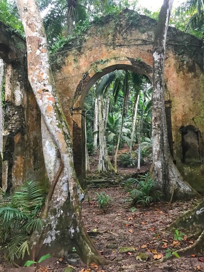 Experience São Tomé and Príncipe in August: A Cultural Celebration