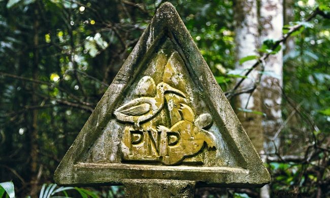 Experience São Tomé and Príncipe in August: A Cultural Celebration