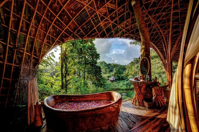 Top Eco‑Friendly Hotels and Lodges Worldwide