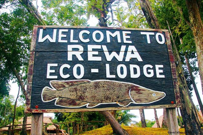 Top Eco‑Friendly Hotels and Lodges Worldwide