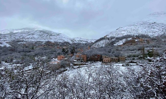 Eight Global COVID-19 Lockdown Stories: Diverse Experiences and Lessons