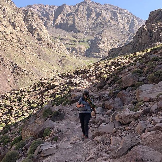 Eight Global COVID-19 Lockdown Stories: Diverse Experiences and Lessons