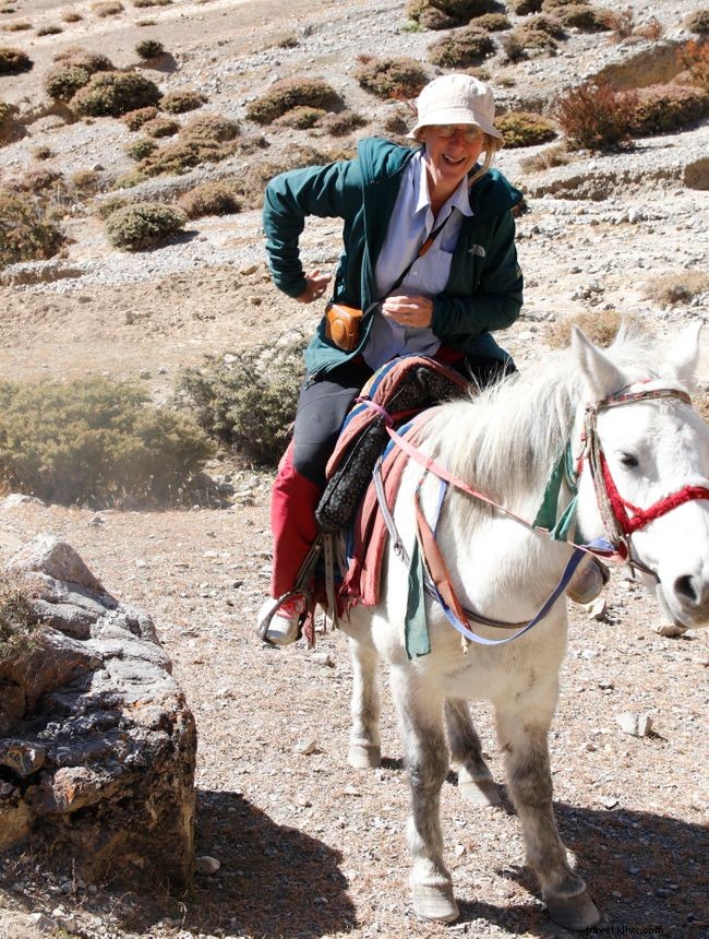 Eight Global COVID-19 Lockdown Stories: Diverse Experiences and Lessons