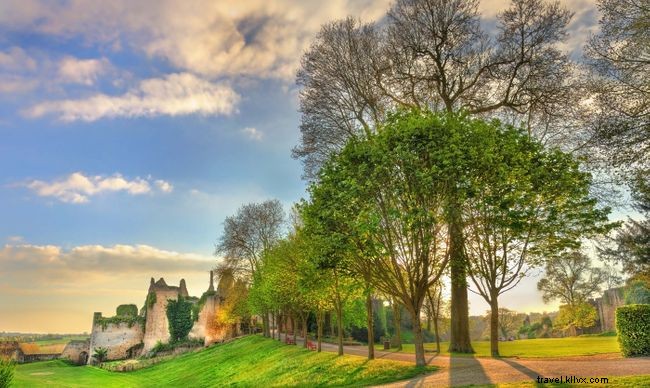 Eight Global COVID-19 Lockdown Stories: Diverse Experiences and Lessons