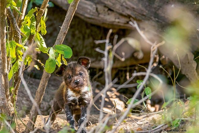 Now Available: Audio Versions of 8 Classic Wanderlust Travel Stories